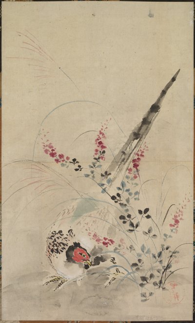 Fasaani ja ruoho tekijältä attributed to Ogata Kōrin