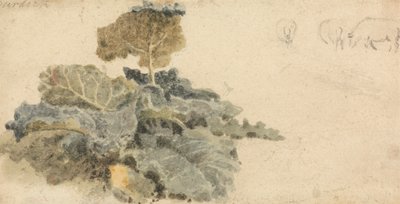 Takiaisten tutkimus tekijältä attributed to Peter DeWint