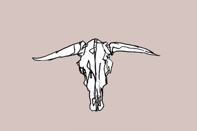 Minimalistinen Longhorn-kallo tekijältä cartissi