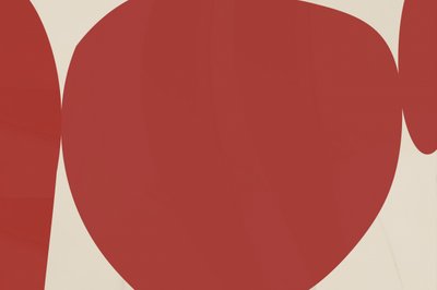 Luonnonmuodot tekijältä cartissi