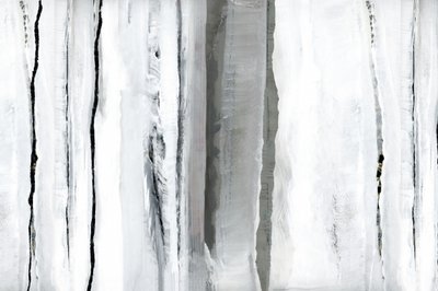 Valkoisen metsän abstrakti tekijältä cartissi