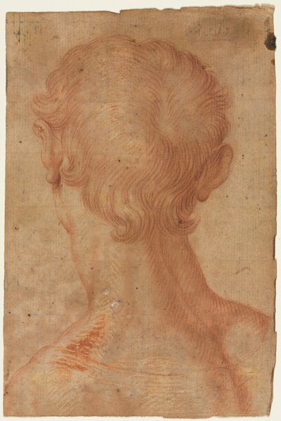 Miehen pää takaa tekijältä copy after Agnolo Bronzino