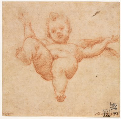 Lentävä Amor tekijältä follower of Annibale Carracci