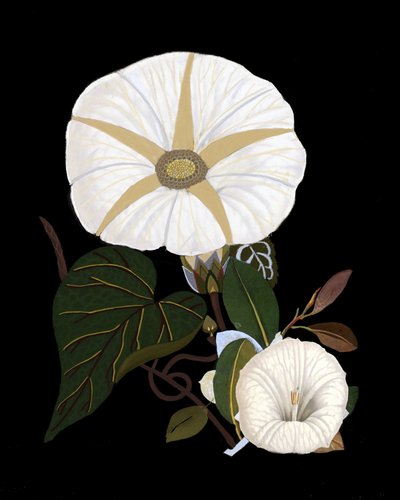  tekijältä giovanna nicolo