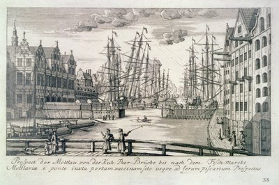 Näkymä Moltawaan Krowin sillalta, Mattheaus Deischin (1724-89) kaiverruksesta 
