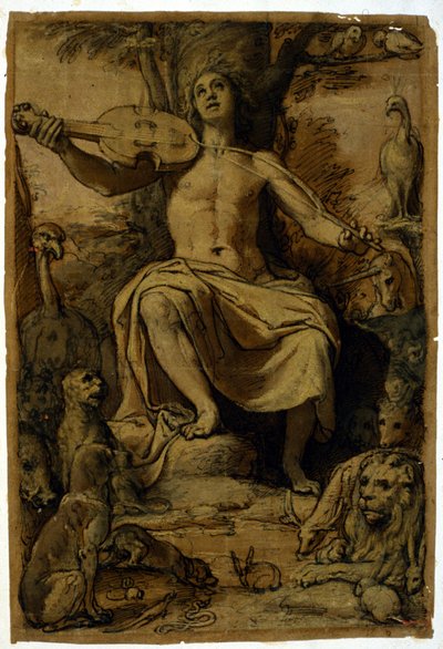 Orpheus lumoaa eläimiä viulun musiikilla. Piirustus Federico Zuccari (1542 - 1609). tekijältä or Zuccaro Federico Zuccari