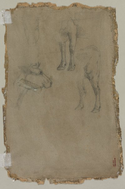 Tutkimuksia härästä (käänteinen) tekijältä possibly by Johan Barthold Jongkind