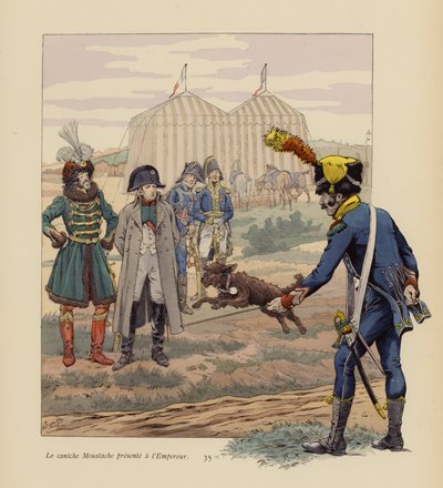 Napoleonille esitelty koira Viikset (värilitografia). tekijältä pseudonym for Onfray de Breville Jacques Job