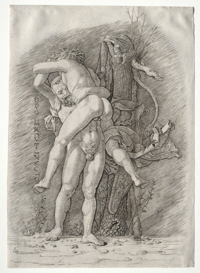 Hercules ja Antaeus tekijältä school of Andrea Mantegna