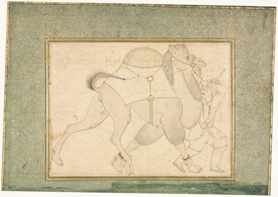 Camel i Nuvi; Il·lustració d