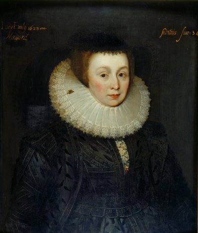Lady Emily Howardin muotokuva, 1600-luvun alku tekijältä the Younger School of Marcus Gheeraerts