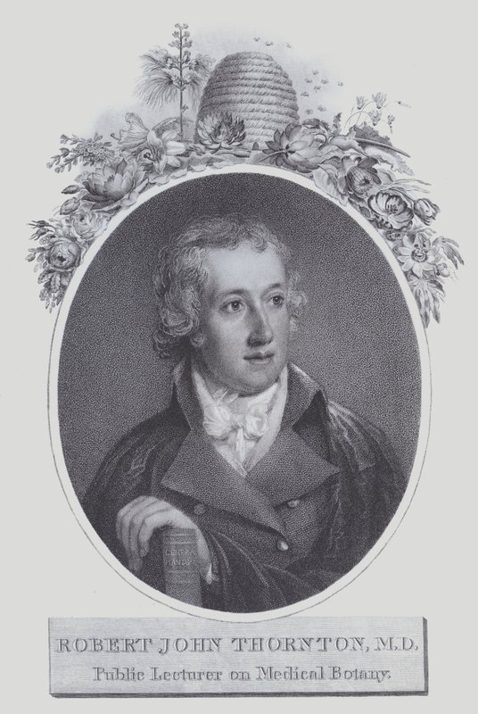 Robert John Thornton (litho) tekijältä (after) English School