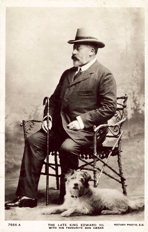 Edesmennyt kuningas Edward VII tämän suosikkikoiran Caesarin kanssa (m/w kuva) tekijältä (after) English photographer