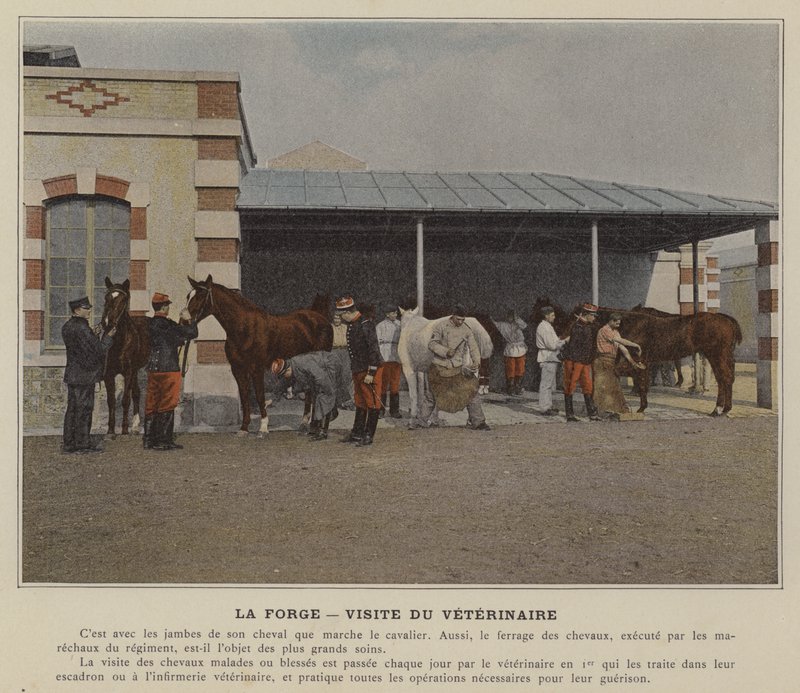 La Forge, eläinlääkärin käynti (värillinen kuva) tekijältä (after) French Photographer