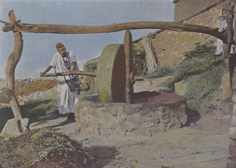 Arab Mill (värillinen kuva) tekijältä (after) French Photographer