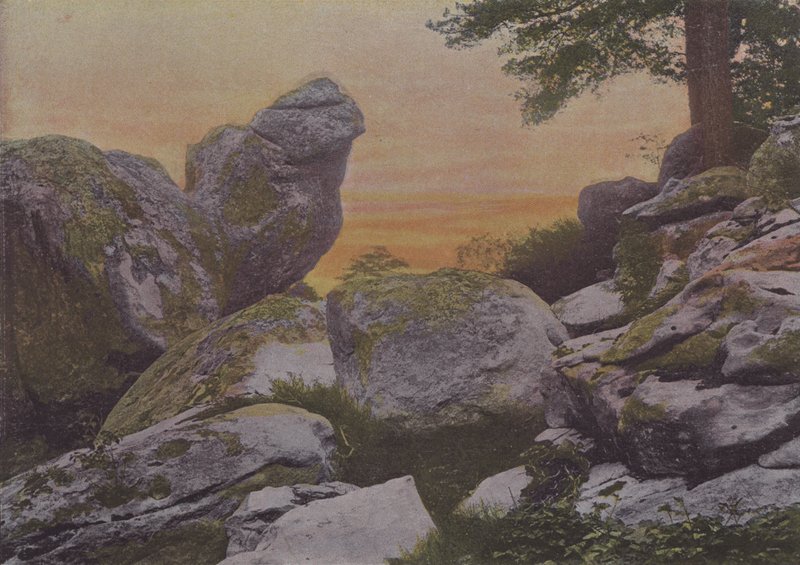 Rochers du mont Ussy (värillinen kuva) tekijältä (after) French Photographer