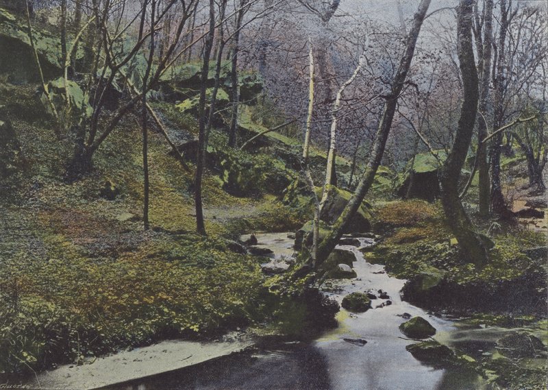 Vaux de Cernay, Les Cascades (värillinen kuva) tekijältä (after) French Photographer