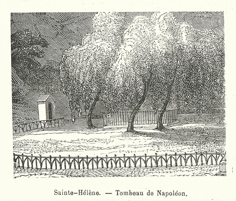 Sainte-Helene, Napoleonin hauta (kaiverrus) tekijältä (after) French School