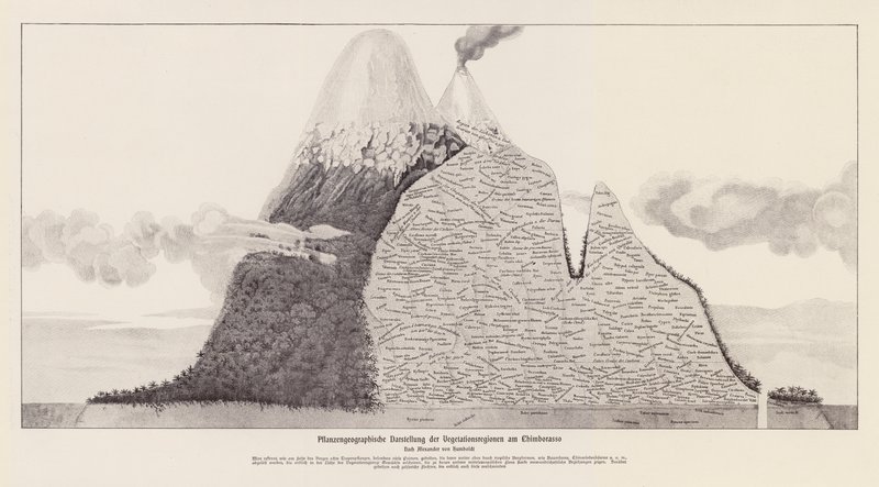 Chimborazon kasvillisuusalueet, Ecuador (litografia) tekijältä (after) German School