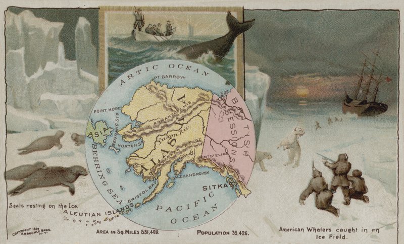 Alaska tekijältä American School