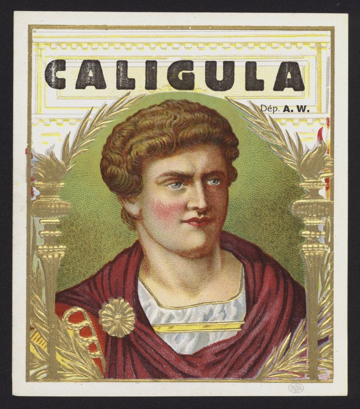 Caligula tekijältä American School