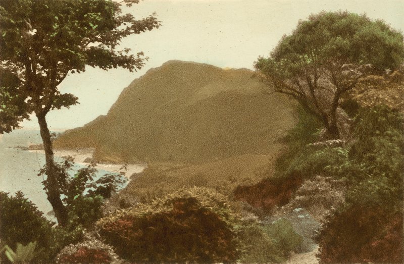 Ilfracombe, Hillsborough St James Gardensista tekijältä English Photographer