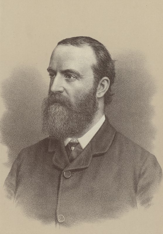 Charles Stewart Parnell, irlantilainen kansallismielinen poliittinen johtaja, maareformin agitaattori sekä Irlannin parlamentin puolueen perustaja ja johtaja. tekijältä English School