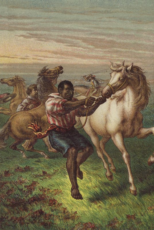 Garibaldis-sotilaat murtavat villihevosia tekijältä English School