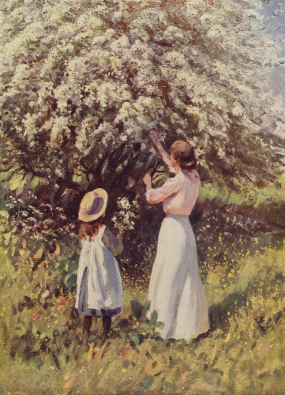 May Blossom tekijältä English School