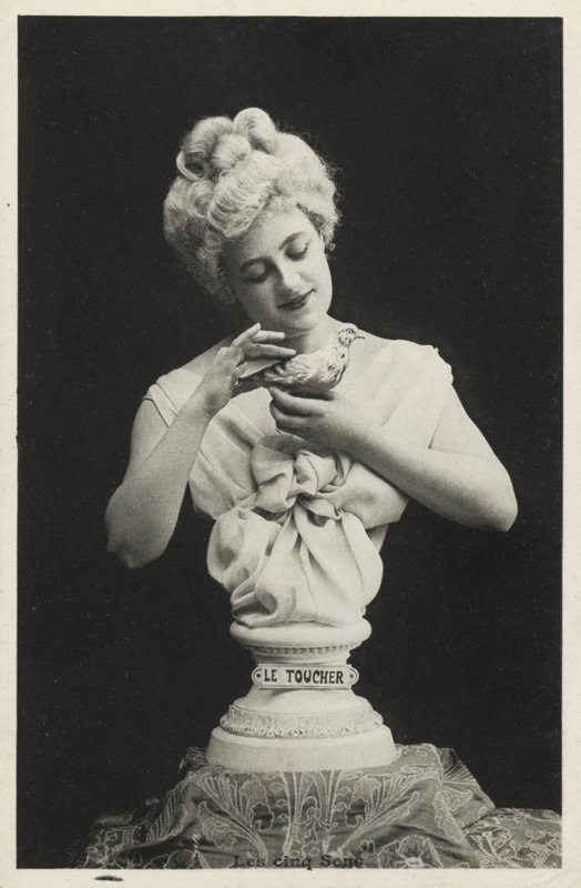 Naisen rintakuva linnun kanssa tekijältä French Photographer