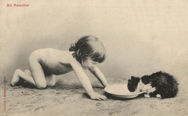 Lapsi kissanpennun kanssa tekijältä French Photographer