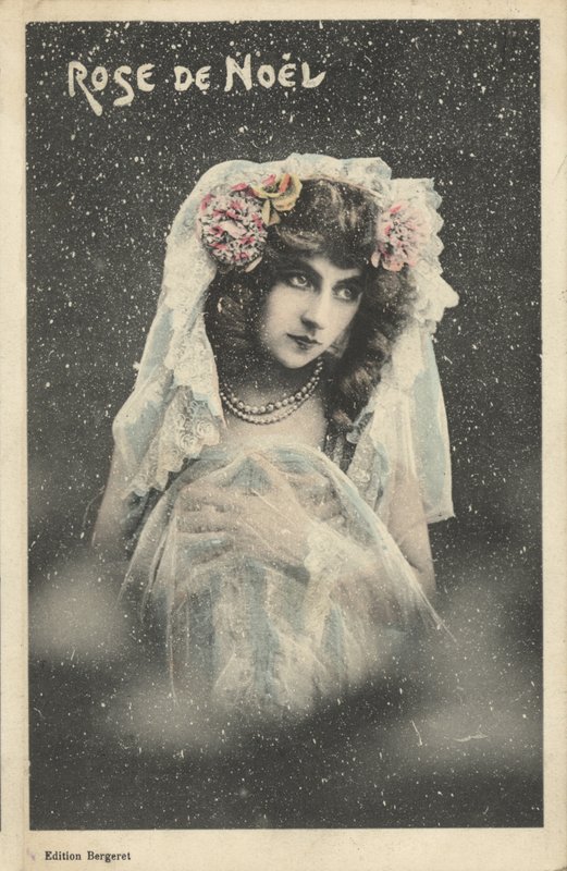 Joulu ruusu tekijältä French Photographer