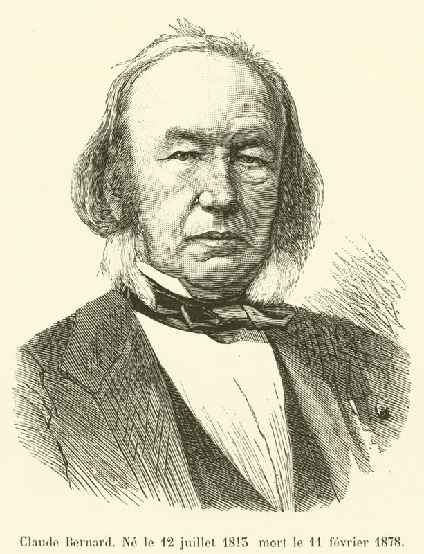 Claude Bernard, syntynyt 12. heinäkuuta 1813 kuollut 11. helmikuuta 1878 tekijältä French School