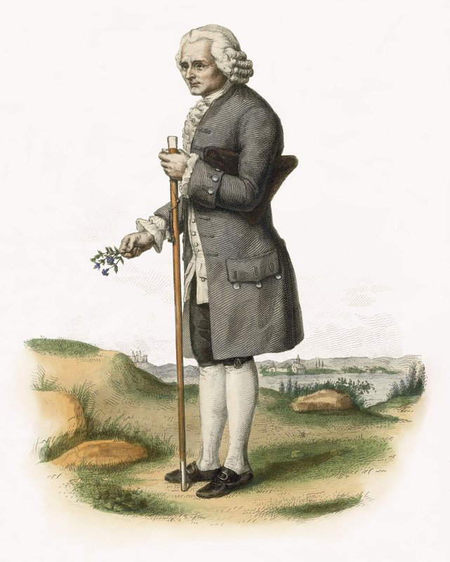Jean-Jacques Rousseau tekijältä French School