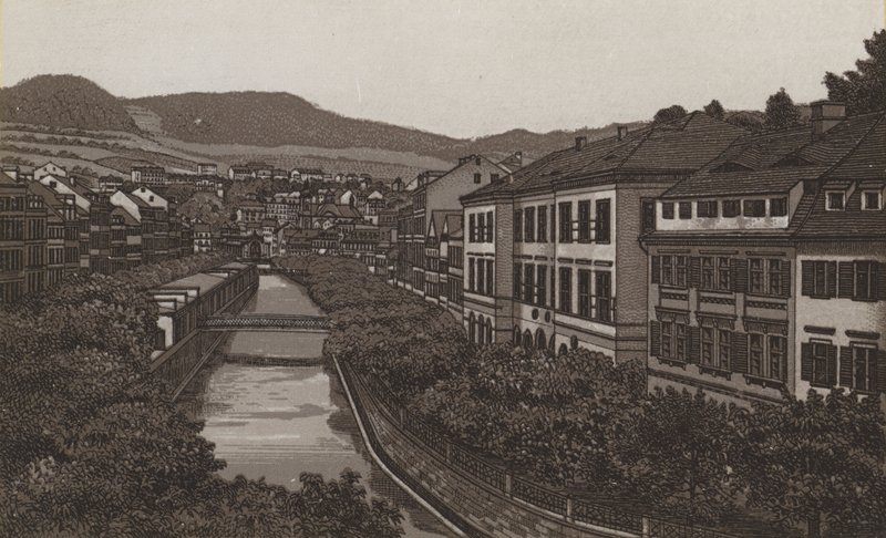 Alte und Neue Wiese tekijältä German School