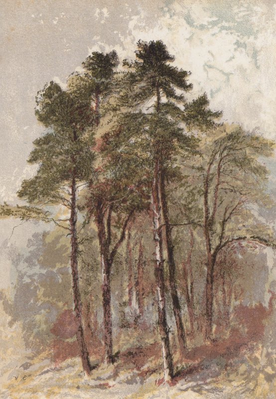 Kuusiryhmä (chromolitho) tekijältä Aaron Edwin Penley