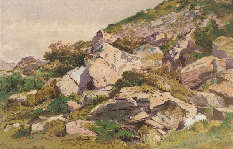 Tutkimus kivistä Taliaris-joen pohjoispuolella, lähellä Llandiloa, Etelä-Walesissa (chromolitho). tekijältä Aaron Edwin Penley