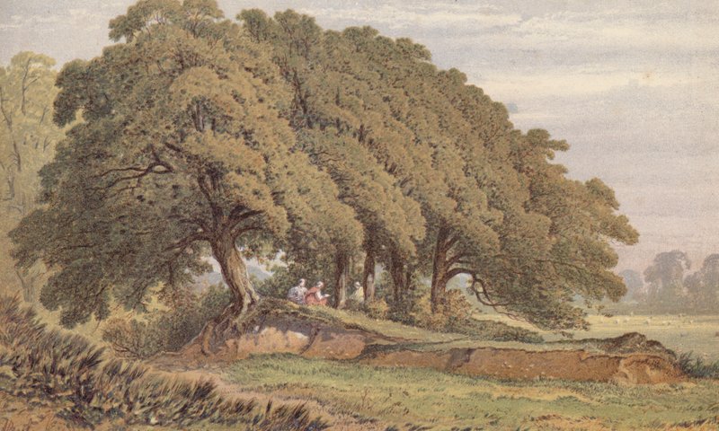 Tutkimus tammiryhmästä, lähellä Elthamia, Kent (kromoliitti) tekijältä Aaron Edwin Penley
