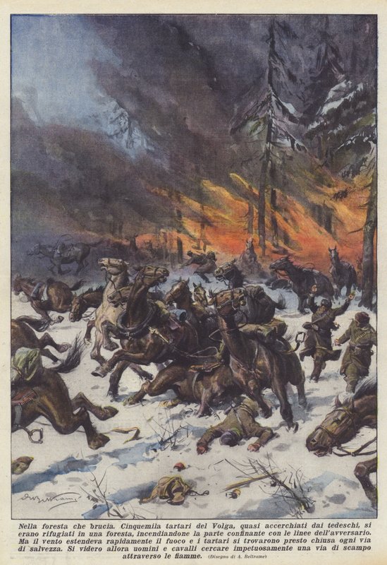 Palavassa metsässä tekijältä Achille Beltrame