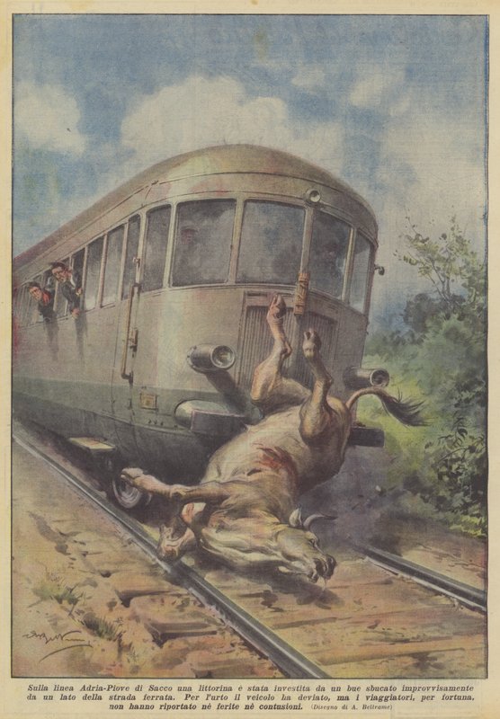 Adria-Piove di Sacco -linjalla littoriinaan osui yhtäkkiä esiin noussut härkä? tekijältä Achille Beltrame