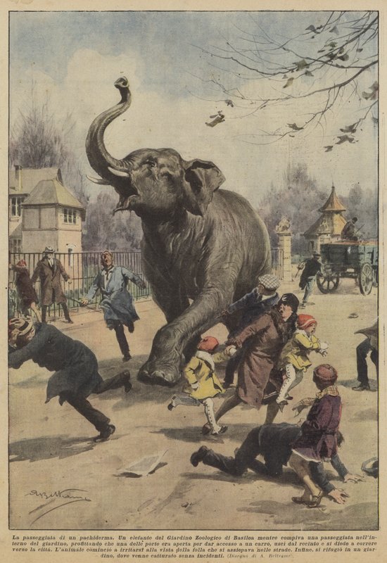 Pachydermin kävely tekijältä Achille Beltrame