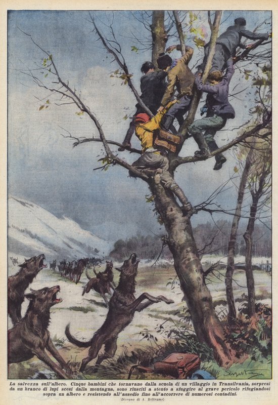 Pelastus puussa tekijältä Achille Beltrame