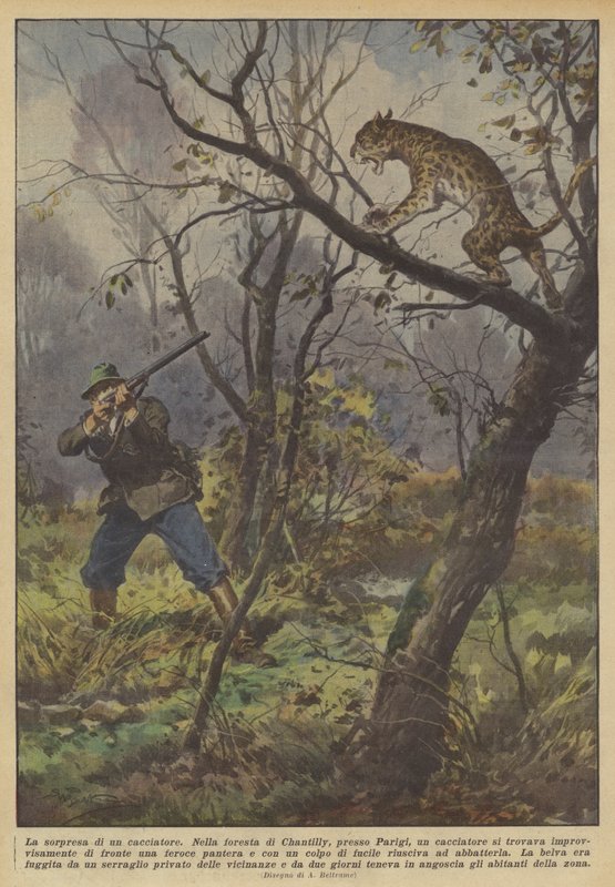Metsästäjän yllätys tekijältä Achille Beltrame