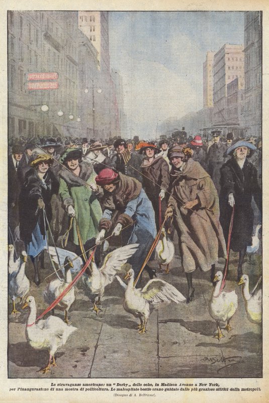 Amerikkalaisia ​​ylilyöntejä, Geese Derbyä Madison Avenuella New Yorkissa, avajaisia ​​varten? tekijältä Achille Beltrame