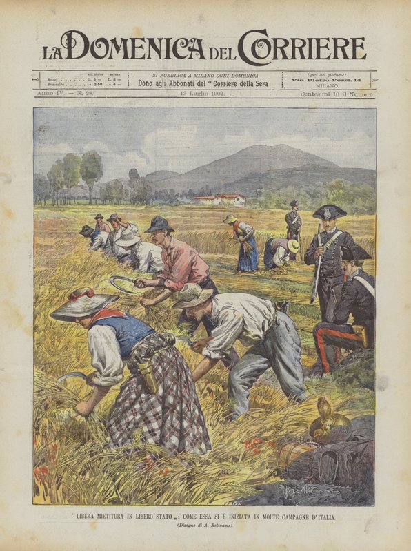 Free Harvest in the Free State, kuinka se alkoi monissa italialaisissa kampanjoissa tekijältä Achille Beltrame