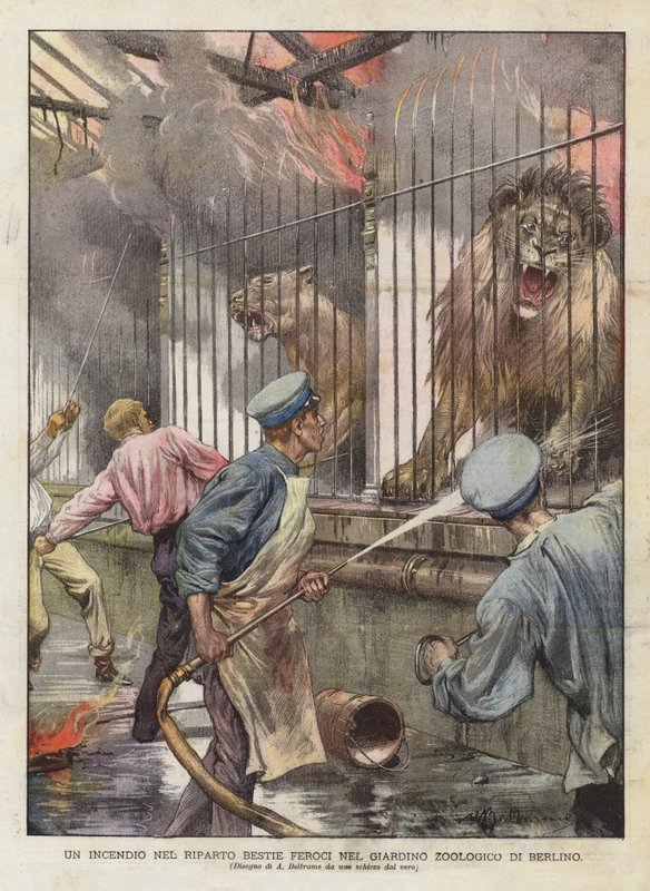 Fire in the Wild Beasts -alue Berliinin eläintieteellisessä puutarhassa (väri litho) tekijältä Achille Beltrame