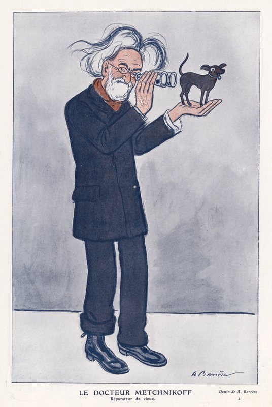 Elie Metchnikoff, venäläinen eläintieteilijä (värilitho) tekijältä Adrien Barrere