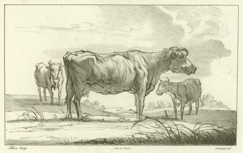 Kolme lehmää tekijältä Aelbert Cuyp