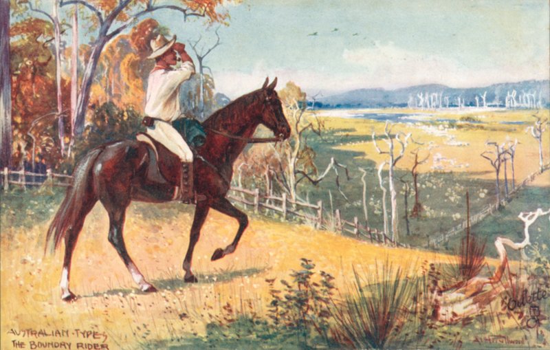 Australialaiset tyypit: Boundary Rider (värilitra): Boundary Rider (värilitra) tekijältä Albert Henry Fullwood