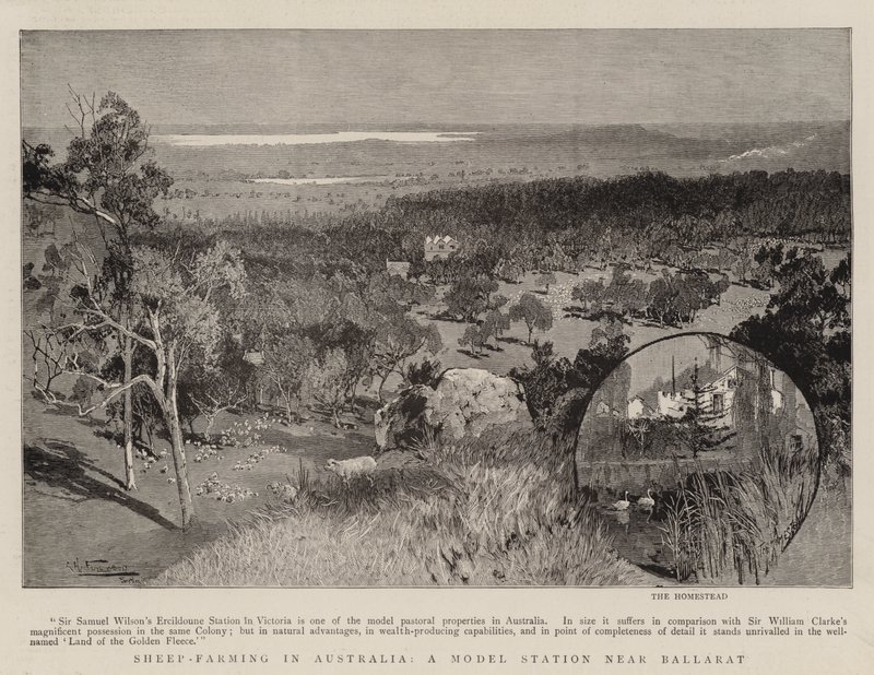 Lampaiden kasvatus Australiassa, malliasema Ballaratin lähellä tekijältä Albert Henry Fullwood